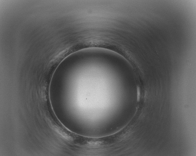 X0000077340450200610271806