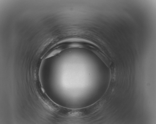 X0000077340452200610271806