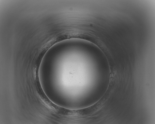 X0000077340454200610271806