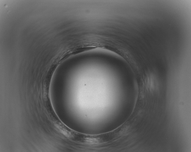 X0000077340457200610271807