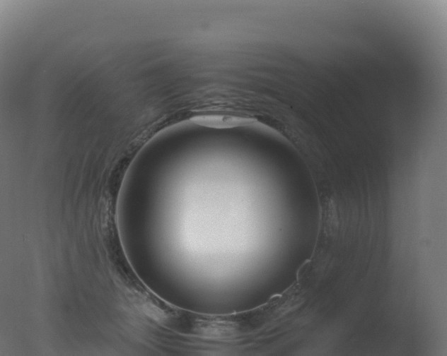 X0000077340463200610271807