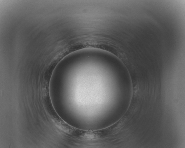 X0000077340464200610271807