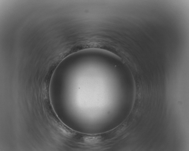 X0000077340465200610271807