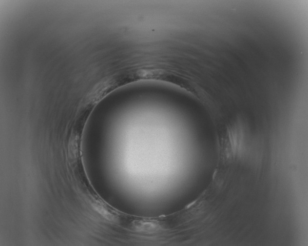 X0000077340475200610271807