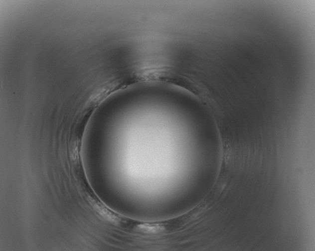 X0000077340477200610271807