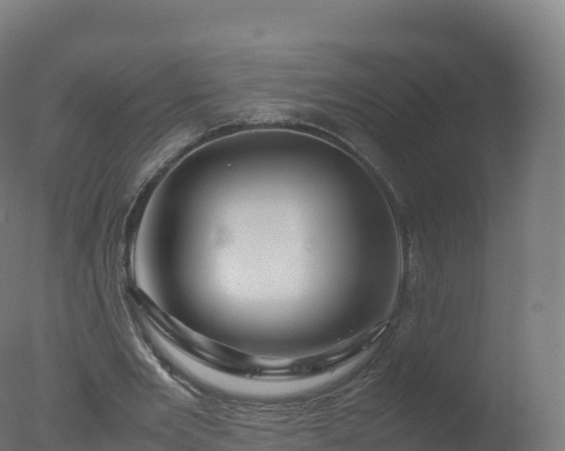 X0000077340485200610271806