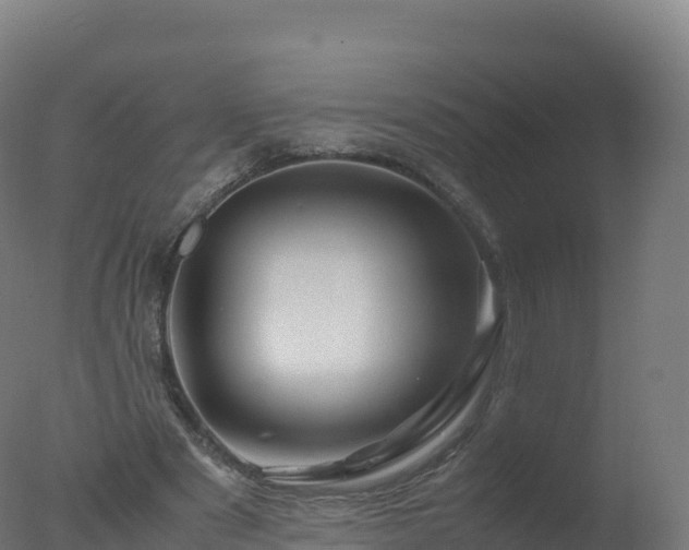 X0000077340489200610271806