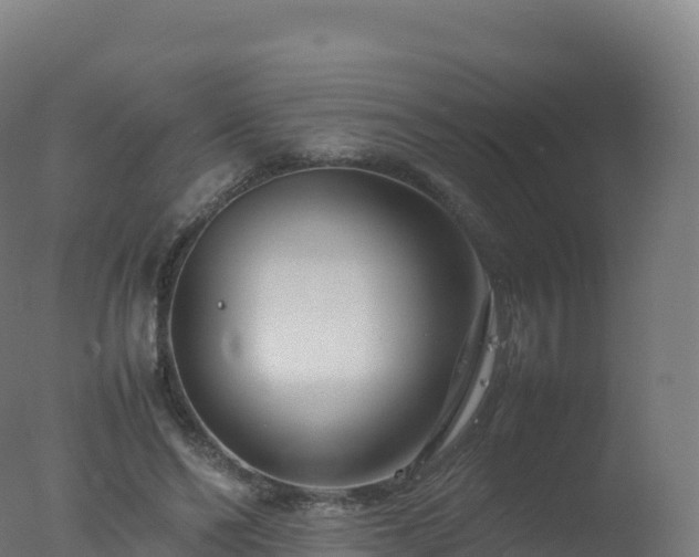 X0000077340494200610271806