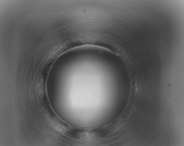 X0000077340498200610271806