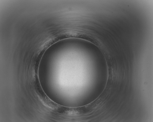 X0000077340500200610271806