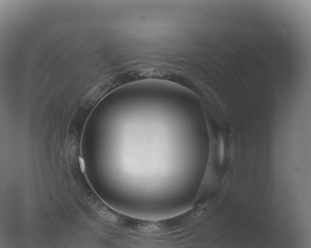 X0000077340513200610271806