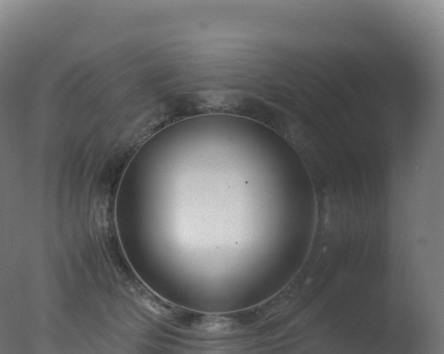 X0000077340514200610271806