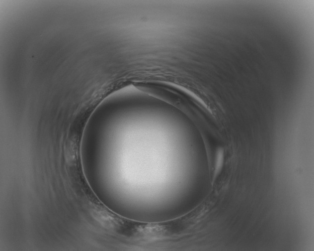 X0000077340517200610271805