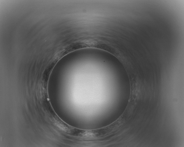 X0000077340518200610271805