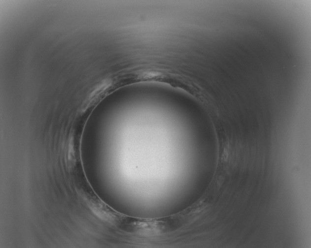 X0000077340524200610271805