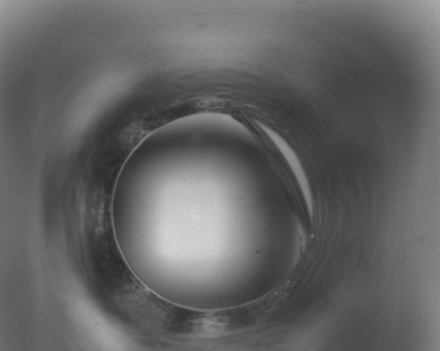 X0000077340525200610271805
