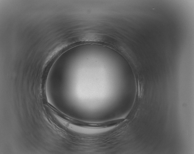 X0000077340531200610271805