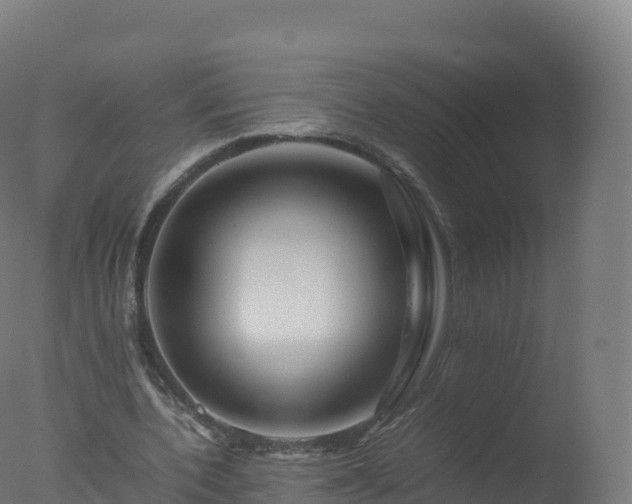 X0000077340532200610271805