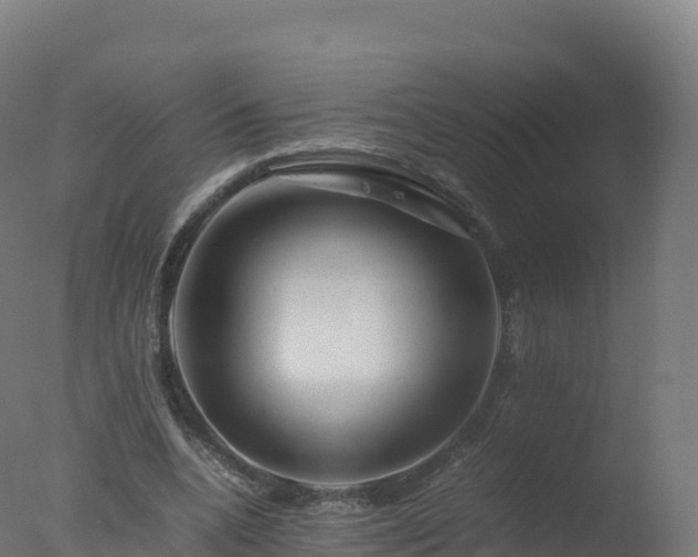 X0000077340536200610271805