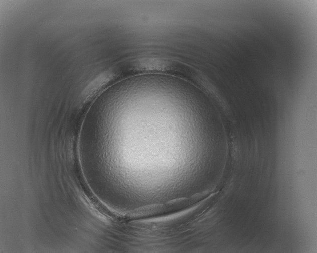 X0000077340537200610271805