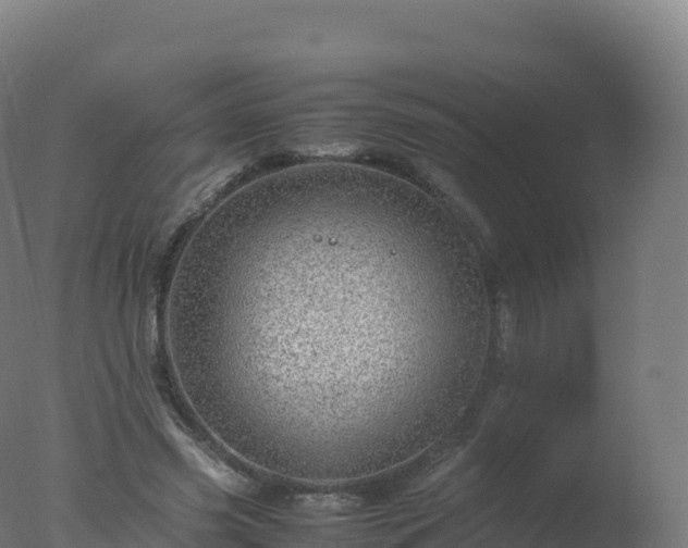 X0000077340541200610271805