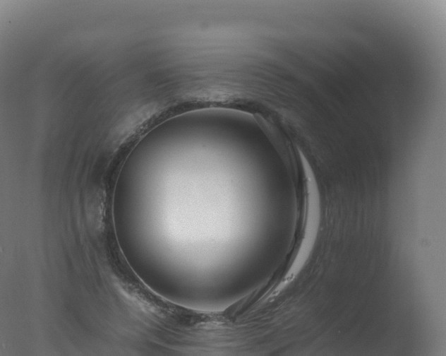 X0000077340544200610271805