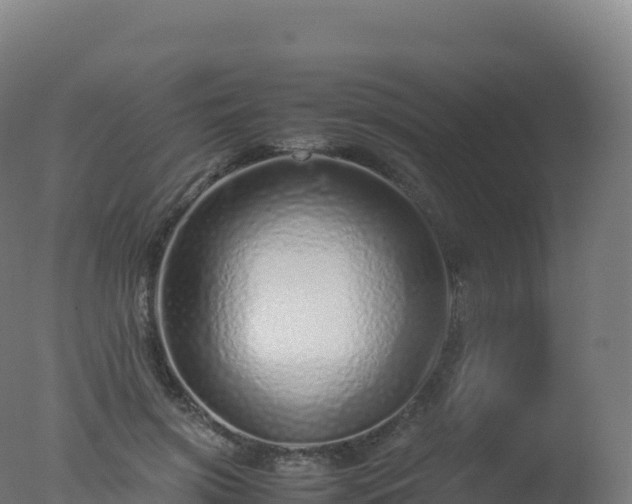 X0000077340549200610271805