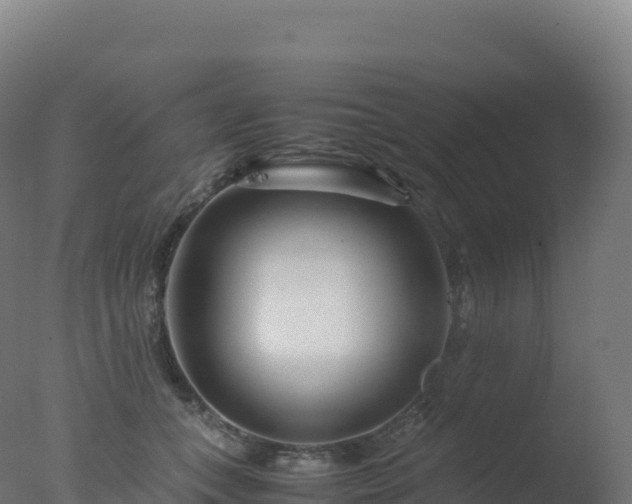X0000077340559200610271805