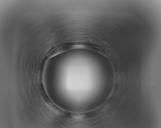 X0000077340560200610271805