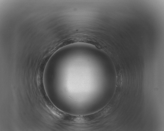 X0000077340562200610271805