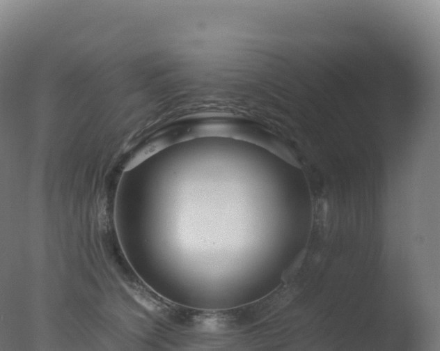 X0000077340564200610271805