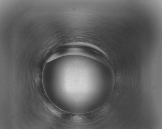 X0000077340566200610271805
