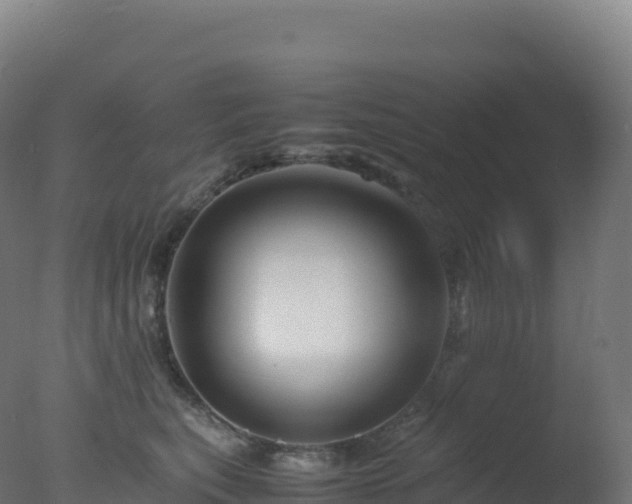 X0000077340567200610271805