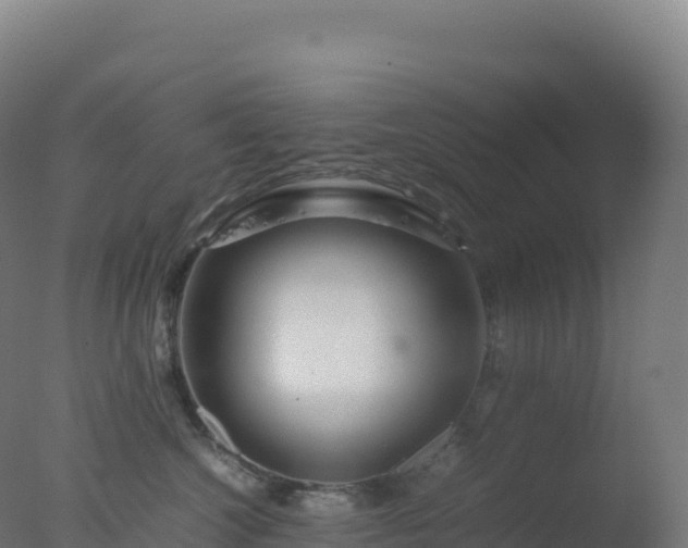 X0000077340572200610271805