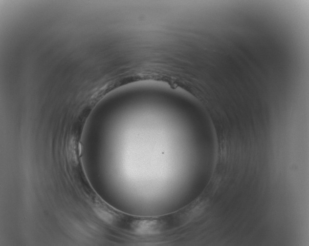 X0000077340575200610271805