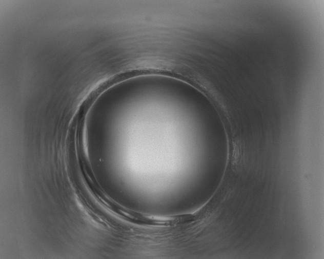 X0000077340580200610271804