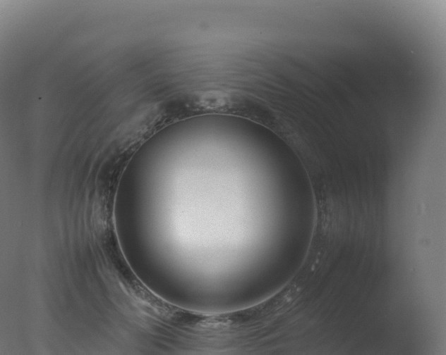 X0000077340606200610271804