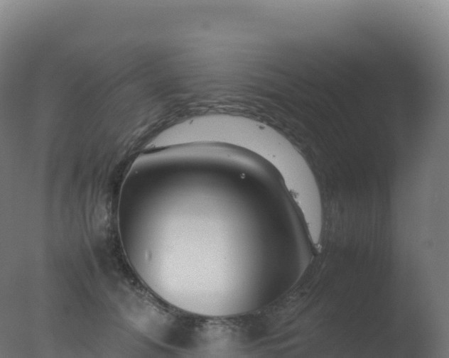 X0000077340608200610271804