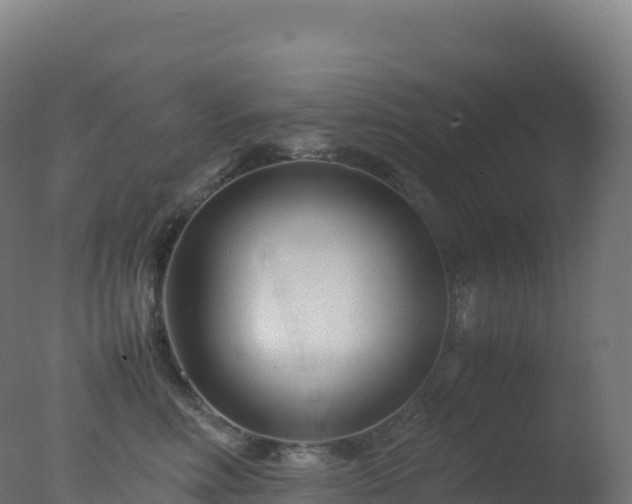 X0000077340618200610271804