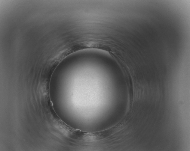 X0000077340620200610271804