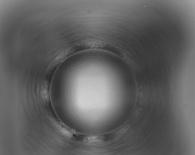 X0000077340622200610271804