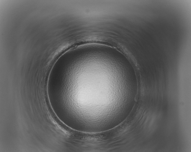 X0000077340625200610271803