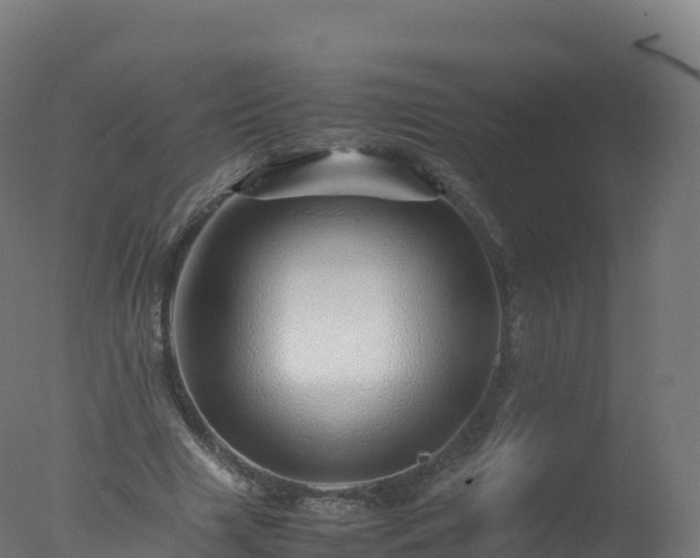 X0000077340633200610271803