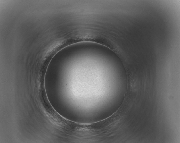X0000077340635200610271803