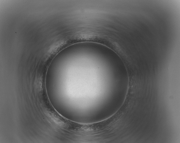 X0000077340640200610271803