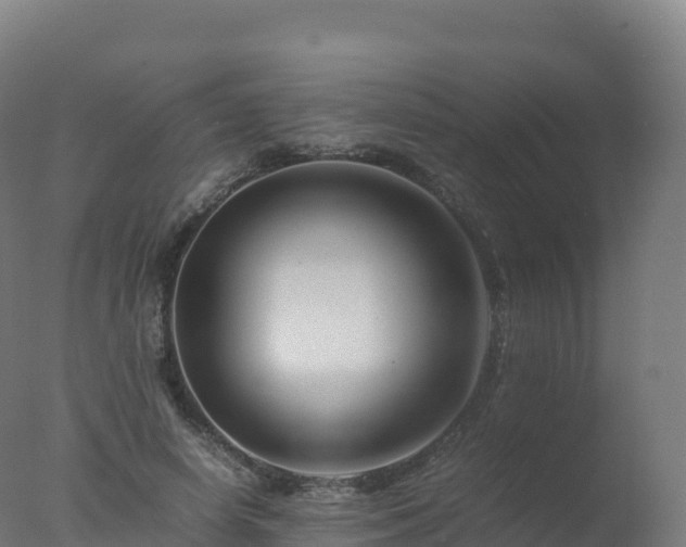 X0000077340642200610271803