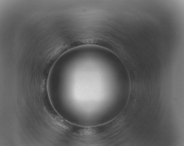 X0000077340652200610271803