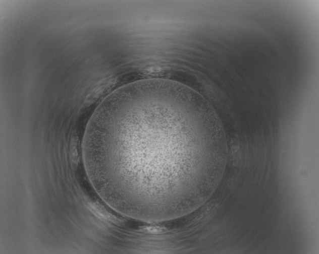 X0000077340654200610271803