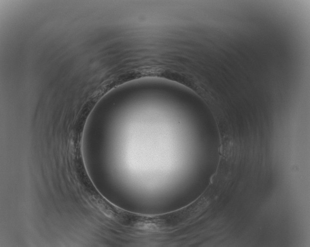 X0000077340655200610271803