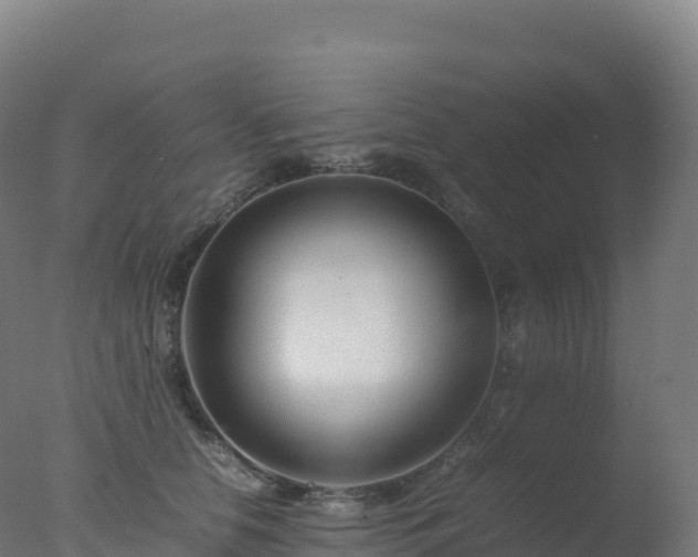 X0000077340658200610271803